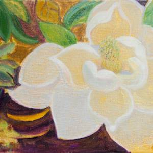 Magnoliaceous by Sally Ruddy