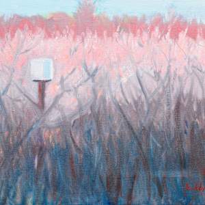 Owl Box No. 1 by Sally Ruddy