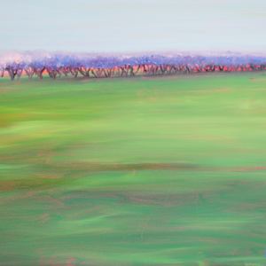 Peaches N’ Green by Sally Ruddy