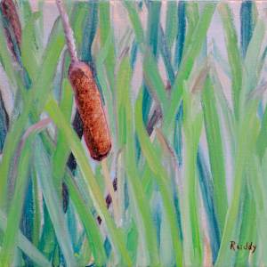 Summer Cattails by Sally Ruddy
