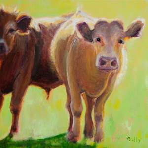Sunny Cows by Sally Ruddy