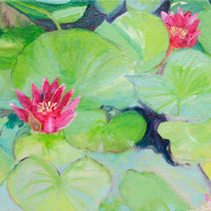 Water Lilies by Sally Ruddy