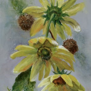 Three Sunflowers with Seedheads by Julia Watson