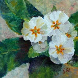 White Primroses by Julia Watson