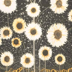 Sun by Sasha Suvorova, Image 5.