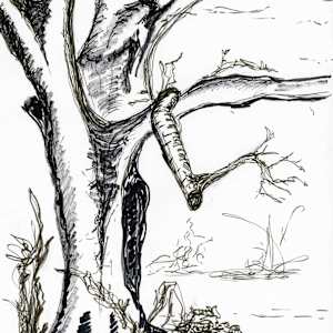 Twisted Silence by Nicci Schwartz