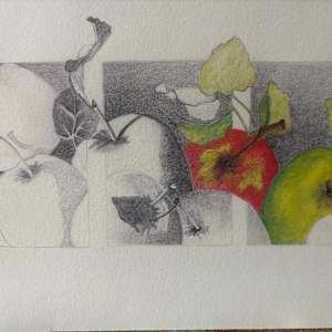 To Teach, Apples by Sarah Wold