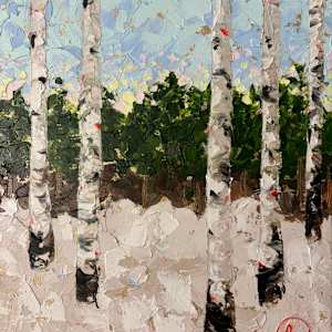 Birch Trees at Sunrise in Winter by Sarah W