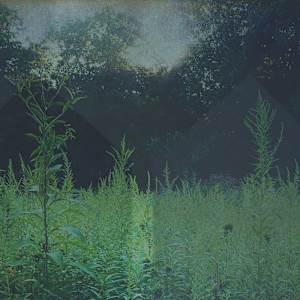 "Shift" by Jessica Wascak