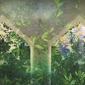 "Keep Finding Me" by Jessica Wascak