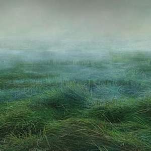 "Seagrass  I" by Jessica Wascak