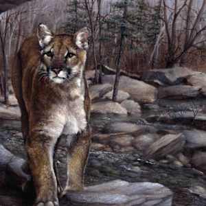 Mountain Lion by Krista's Art Studio, Image 1.