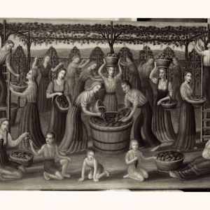 Vendemmia (1962) by Salvatore Cascone