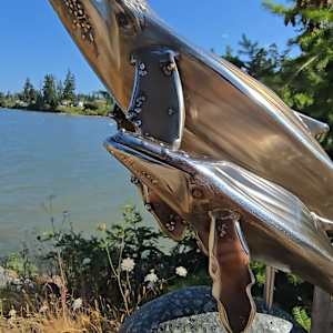 Harmony by Lowe Tide Design