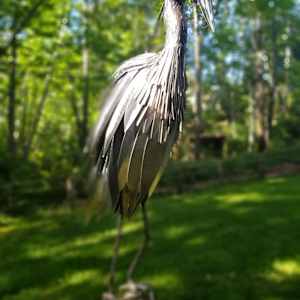 The Ambassador by Ian Lowe 