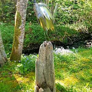 The Ambassador by Ian Lowe