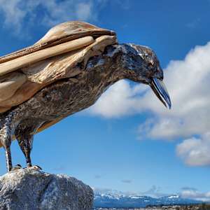 The Trickster 1.0 by Ian Lowe 