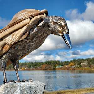 The Trickster 1.0 by Ian Lowe 