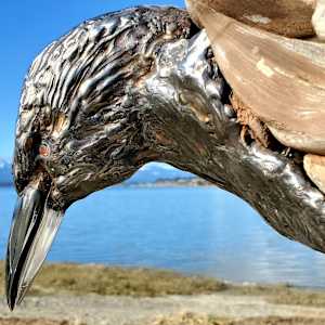 The Trickster 1.0 by Ian Lowe 