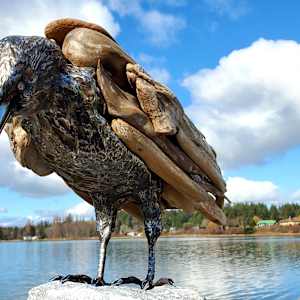 The Trickster 1.0 by Ian Lowe 