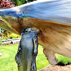 Murphy and Emma by Ian Lowe 