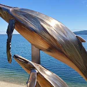 60 for 60 by Ian Lowe 