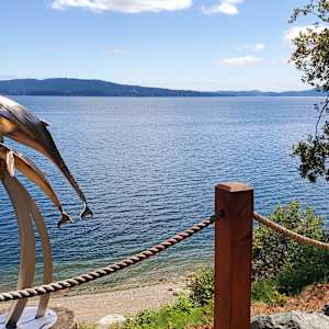 60 for 60 by Ian Lowe 