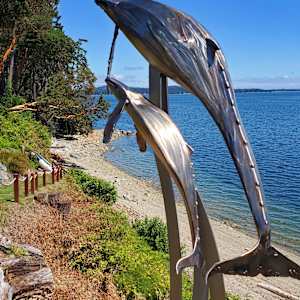 60 for 60 by Ian Lowe 