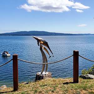 60 for 60 by Ian Lowe 