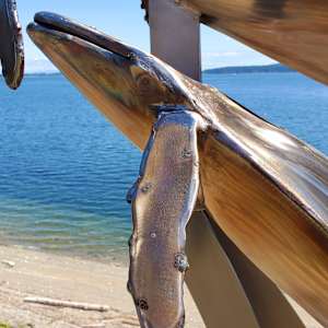 60 for 60 by Ian Lowe 