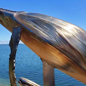 60 for 60 by Ian Lowe 