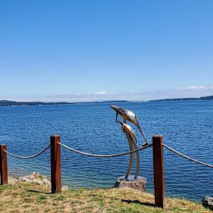 60 for 60 by Ian Lowe 