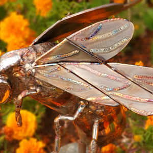 Delicate Balance by Ian Lowe 