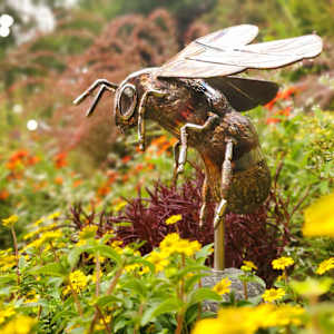 Delicate Balance by Ian Lowe 