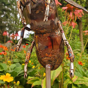 Delicate Balance by Ian Lowe 