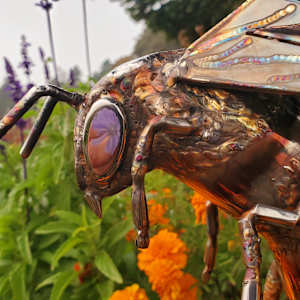 Delicate Balance by Ian Lowe 