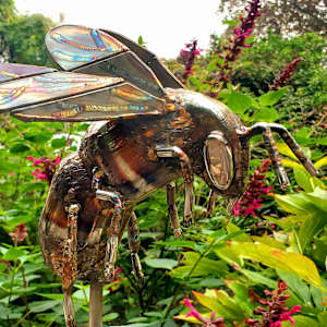 Delicate Balance by Ian Lowe 