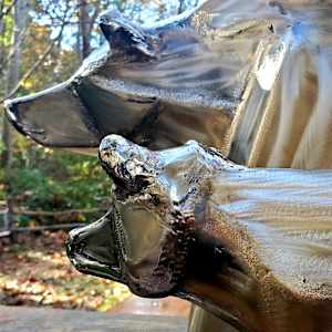 Defender by Ian Lowe 