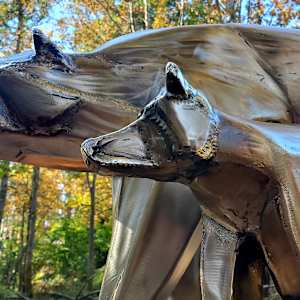 Defender by Ian Lowe 