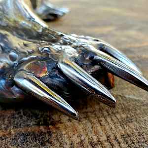 Defender by Ian Lowe 