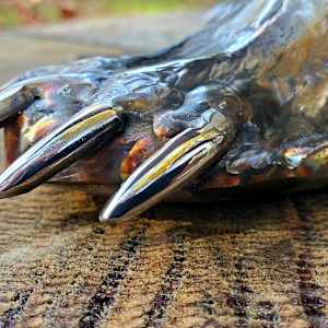 Defender by Ian Lowe 