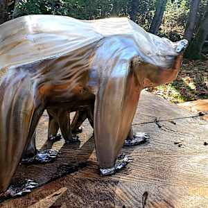 Defender by Ian Lowe 