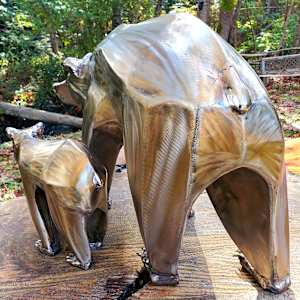 Defender by Ian Lowe 