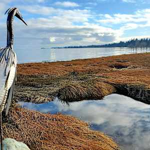 Patience by Ian Lowe 