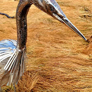 Patience by Ian Lowe 