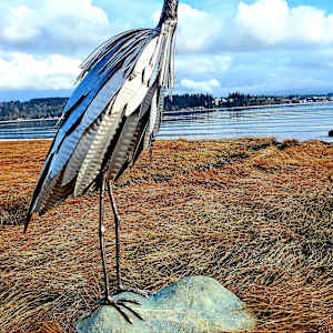 Patience by Ian Lowe 