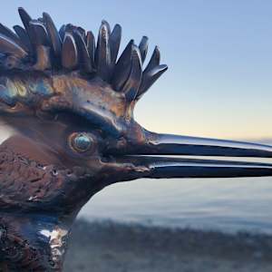 Speed King by Ian Lowe 