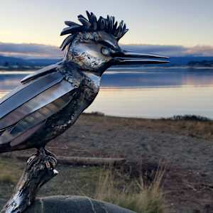 Speed King by Ian Lowe 