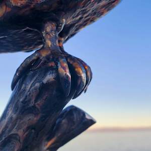 Speed King by Ian Lowe 