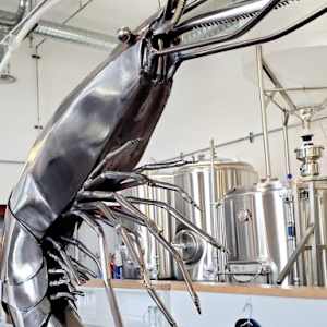 The Knight of Saanich Inlet by Ian Lowe 